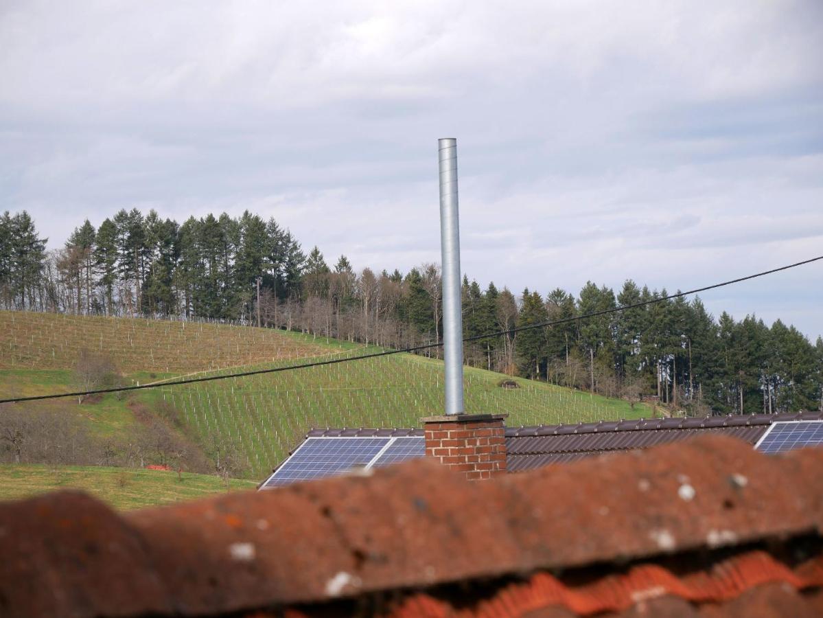 Ferienwohnung Obere Alm Оберкирх Экстерьер фото